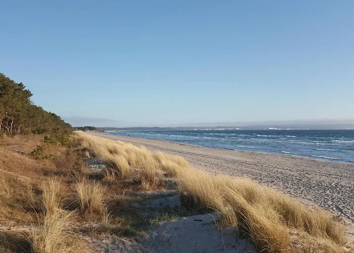 Baltic Lejlighed